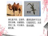 初中  政治 (道德與法治)  人教版（2024）  七年級上冊（2024） 做更好的自己 課件