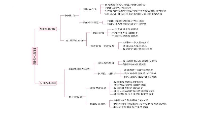 专题23 世界舞台上的中国--中考道德与法治一轮复习全考点精讲课件（全国通用）第8页