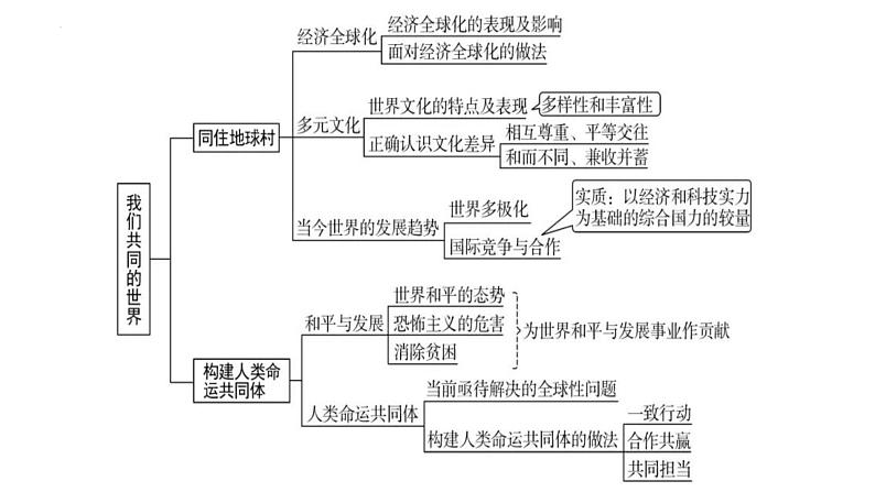 专题22 我们共同的世界--中考道德与法治一轮复习全考点精讲课件（全国通用）第6页