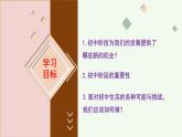 初中  政治 (道德与法治)  人教版（2024）  七年级上册（2024） 奏响中学序曲 课件