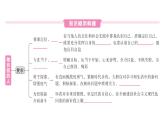 初中道德與法治新人教版七年級下冊第二單元第四課第二課時 做自信的人作業(yè)課件2025春