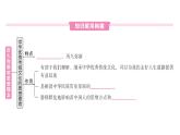 初中道德與法治新人教版七年級(jí)下冊(cè)第三單元第六課第一課時(shí) 歷久彌新的思想理念作業(yè)課件2025春