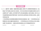 初中道德與法治新人教版七年級(jí)下冊(cè)第三單元第六課第一課時(shí) 歷久彌新的思想理念作業(yè)課件2025春