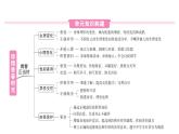 初中道德與法治新人教版七年級下冊第一單元總結(jié)提升作業(yè)課件2025春