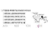 初中道德與法治新人教版七年級(jí)下冊(cè)第二單元綜合訓(xùn)練作業(yè)課件2025春