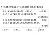 初中道德與法治新人教版七年級(jí)下冊(cè)第二單元綜合訓(xùn)練作業(yè)課件2025春