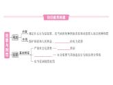 初中道德與法治新人教版七年級下冊第四單元第十一課第二課時 犯罪與刑法作業(yè)課件2025春
