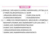 初中道德與法治新人教版七年級下冊第四單元第十一課第二課時 犯罪與刑法作業(yè)課件2025春