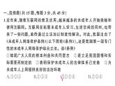 初中道德與法治新人教版七年級下冊第四單元綜合訓練作業(yè)課件2025春