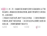 初中道德與法治新人教版七年級下冊第四單元綜合訓練作業(yè)課件2025春