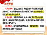 2.2 加强宪法监督（同步课件）--2024-2025学年八年级道德与法治下册 （统编版）