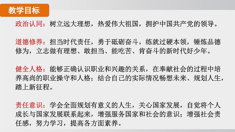 九年级道德与法治下册课件《少年走向未来》第2页