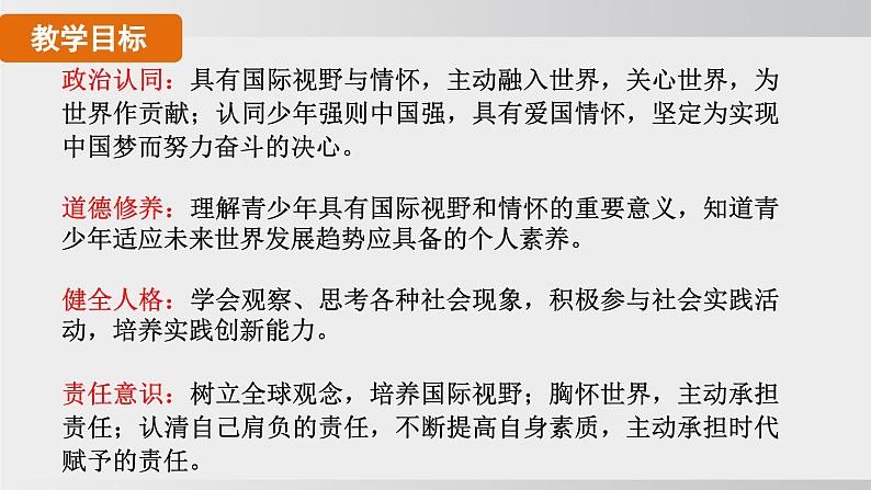 九年级道德与法治下册课件《少年的担当》第2页