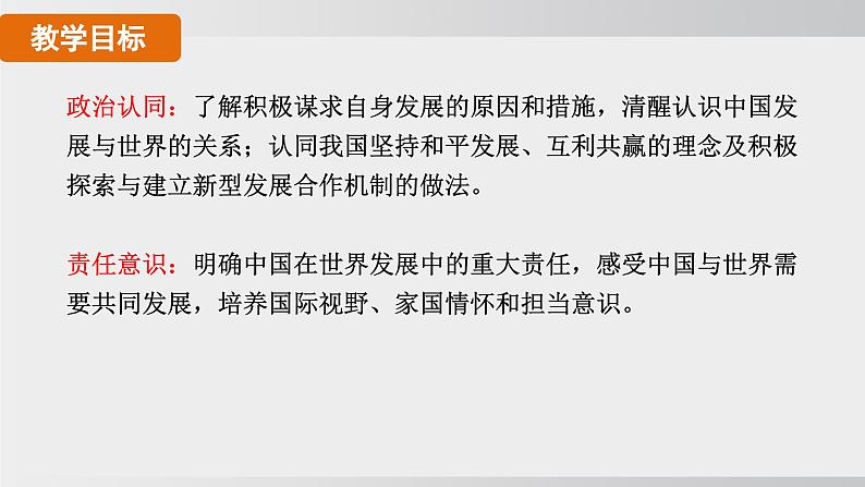 九年级道德与法治下册课件《携手促发展》第2页