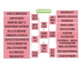 統(tǒng)編版道德與法治（2024）七年級下冊 1.2 男生女生（課件）