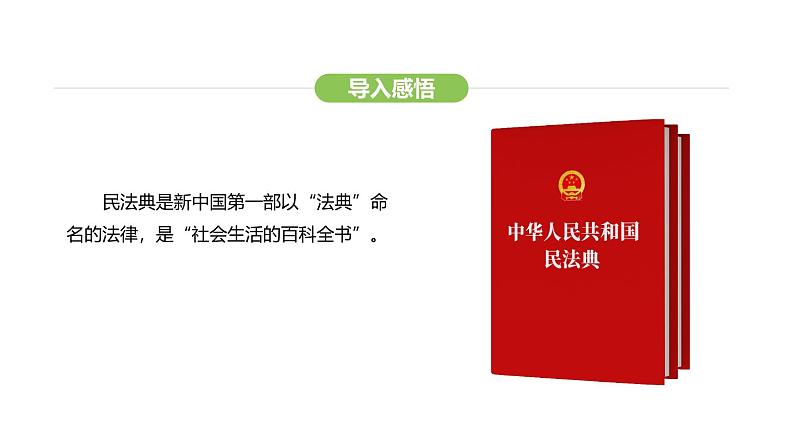 统编版道德与法治（2024）七年级下册 10.1 认识民法典（课件）第7页