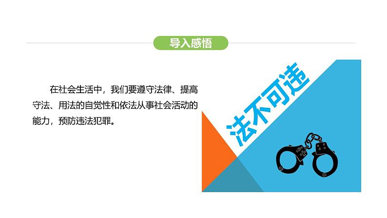 统编版道德与法治（2024）七年级下册 11.1 法不可违（课件）第7页