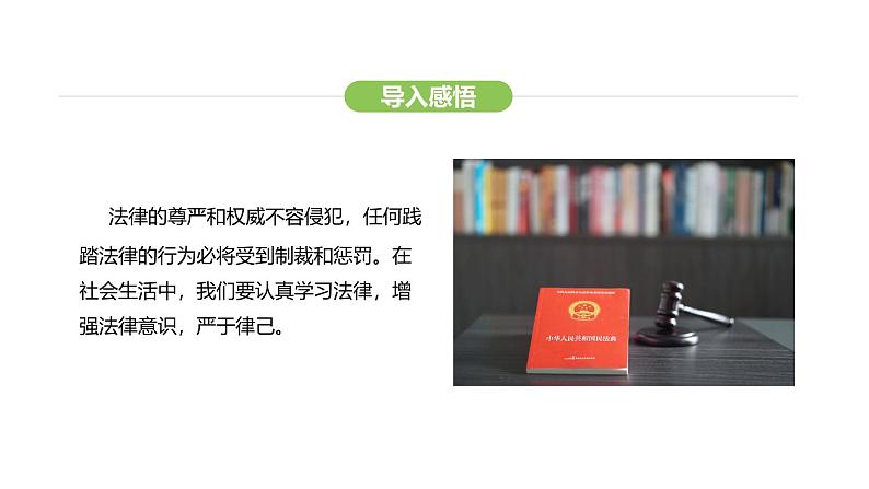 统编版道德与法治（2024）七年级下册 11.3 严于律己（课件）第7页