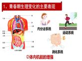 1.1青春的邀約 （課件）-2024-2025學(xué)年統(tǒng)編版道德與法治七年級(jí)下冊(cè)