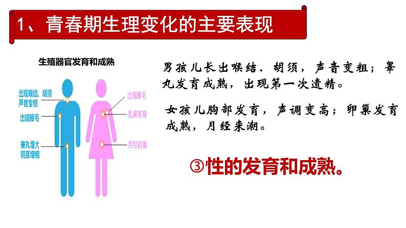 1.1青春的邀约 （课件）-2024-2025学年统编版道德与法治七年级下册第6页