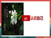 人教部編版（五四制）道法六年級全冊 2.1《正確認(rèn)識自我》課件練習(xí)題