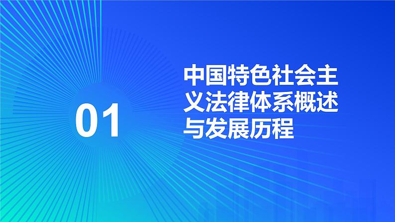 人教版道德与法治七年级下册第9课法律为我们护航课件第4页