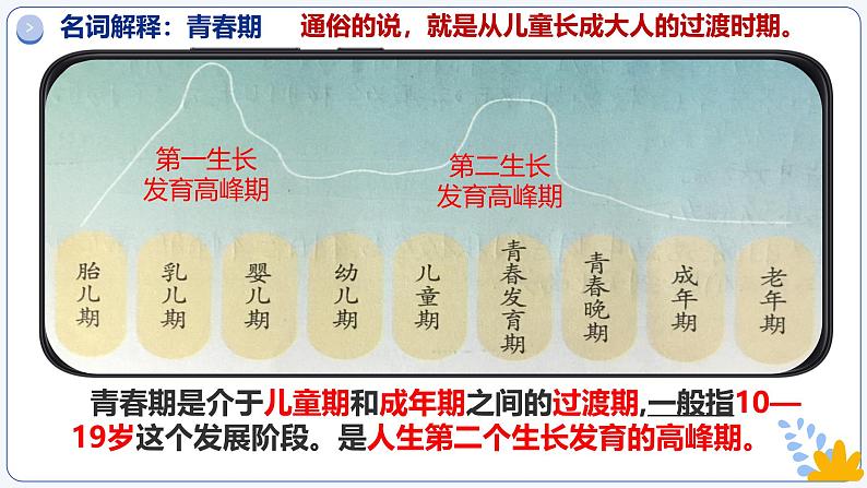 1.1 青春的邀约 课件 2024-2025学年七年级道德与法治下册第8页