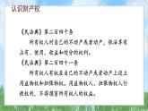10-3《保障财产权》（课件）-道德与法治七年级下册统编版（2024）