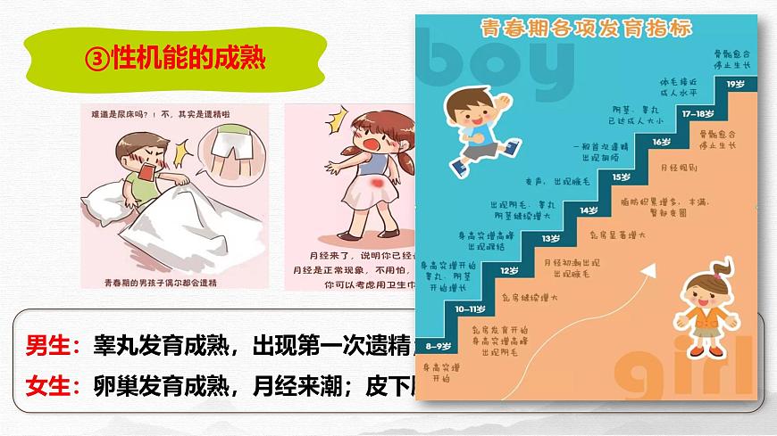 1.1 青春的邀约 （课件）-2024-2025学年道德与法治七年级下册 （统编版2024）第6页