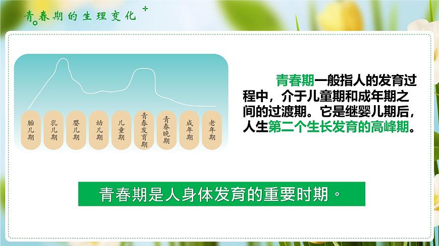 1.1青春的邀约（课 件）-2024-2025学年道德与法治七年级下册 （统编版2024）课件PPT第6页