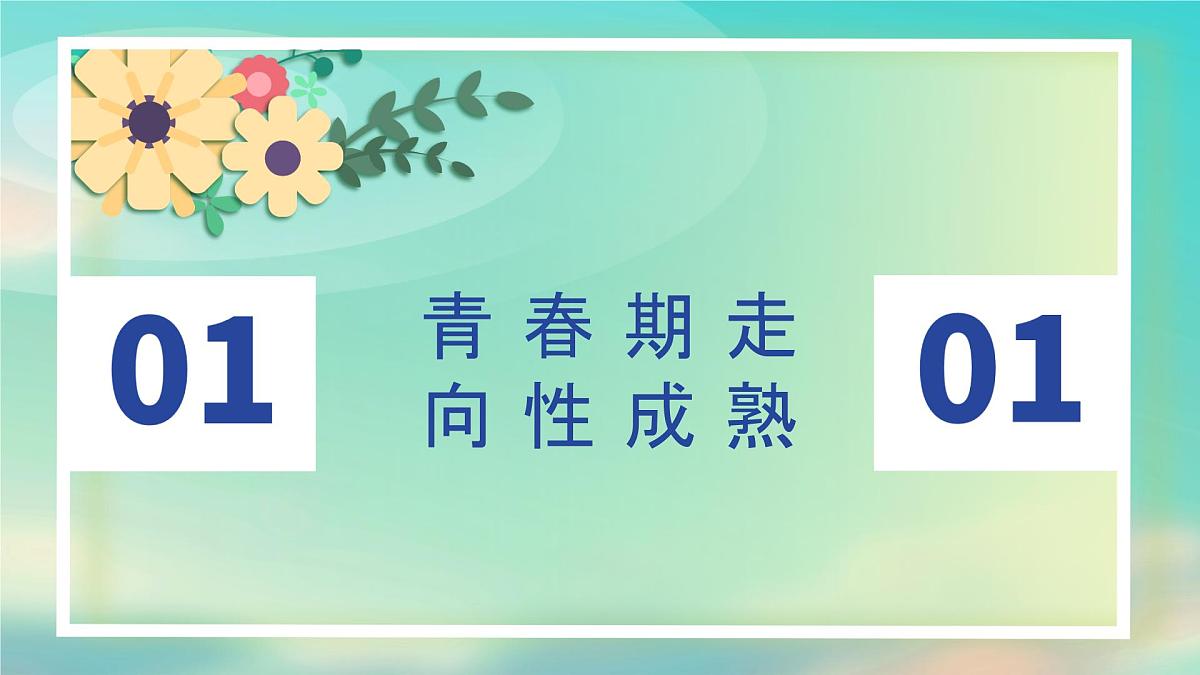 1.3学会自我保护 （课 件）-2024-2025学年道德与法治七年级下册 （统编版2024）课件PPT第4页