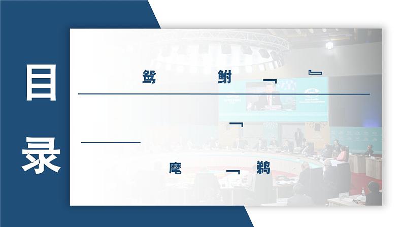 4.2携手促发展 （课件）2024-2025道德与法治九年级下册  统编版第2页