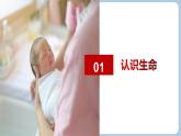 第八課  生命可貴 - 初中道德與法治六年級全冊 同步教學(xué)課件+教學(xué)設(shè)計(jì)+同步練習(xí)（人教版五四制2024）