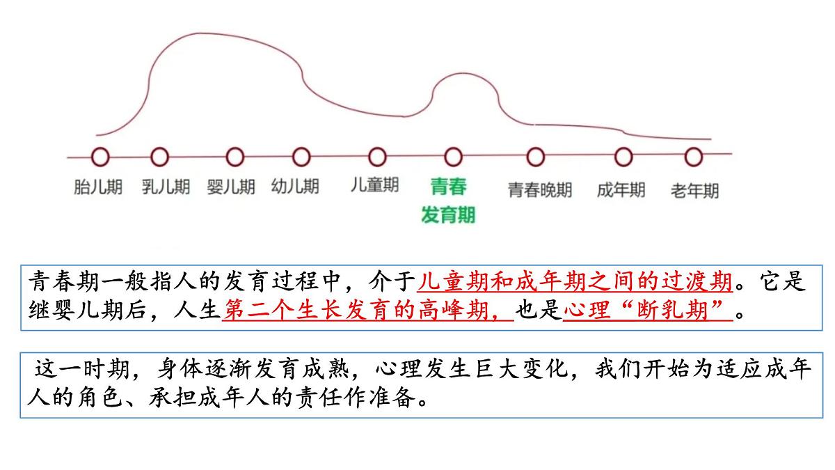 1.1 青春的邀约 课件 2024-2025学年七年级道德与法治下册 （统编版2024）第4页