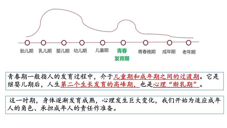 1.1  青春的邀约  课件  2024-2025学年七年级道德与法治下册 （统编版2024）第4页