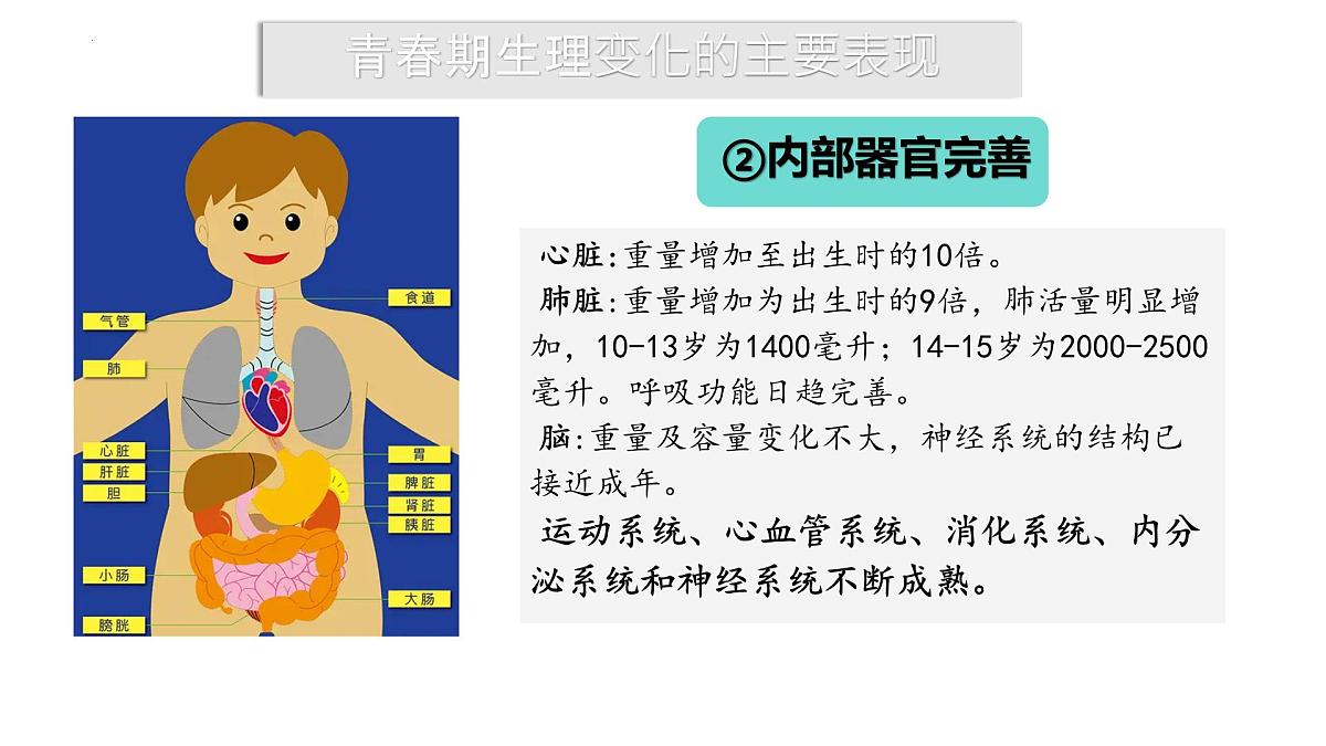 1.1 青春的邀约 课件 2024-2025学年七年级道德与法治下册 （统编版2024）第8页