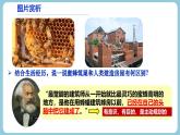 第十一課 確立人生目標(biāo) - 初中道德與法治六年級全冊 同步教學(xué)課件+教學(xué)設(shè)計(jì)+同步練習(xí)（人教版五四制2024）