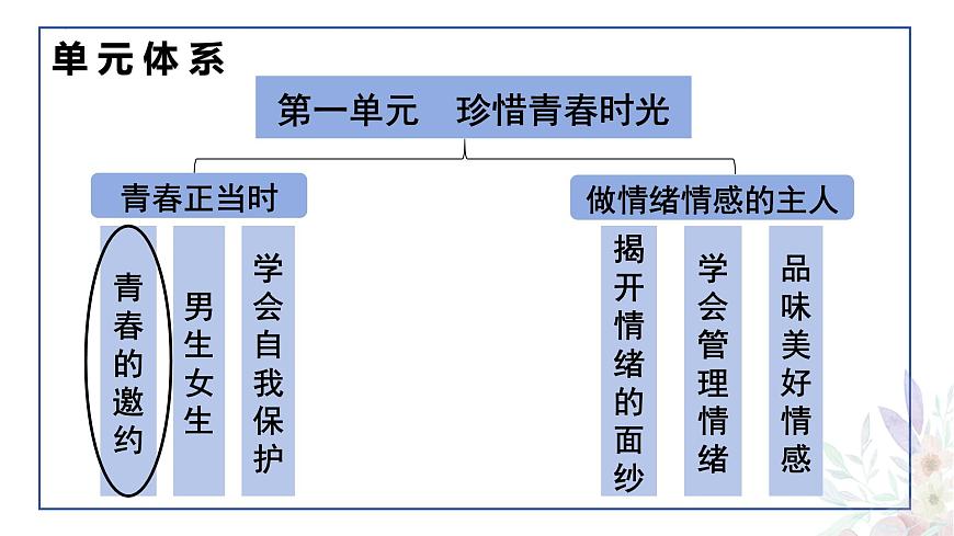 2024-2025学年统编版道德与法治七年级下册1.1 青春的邀约 课件第2页