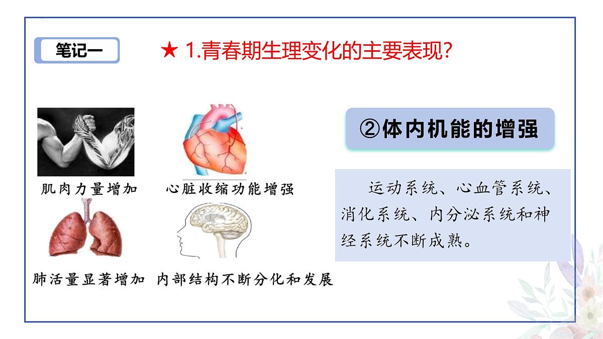 2024-2025学年统编版道德与法治七年级下册1.1 青春的邀约 课件第8页