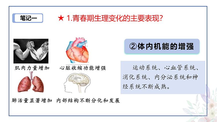 2024-2025学年统编版道德与法治七年级下册1.1 青春的邀约 课件第8页