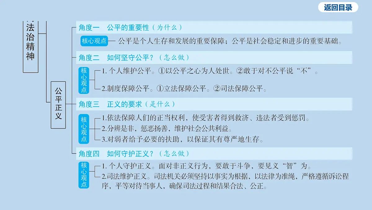 20-八年级下册-第四单元 崇尚法治精神课件-2025年中考道德与法治一轮复习第4页