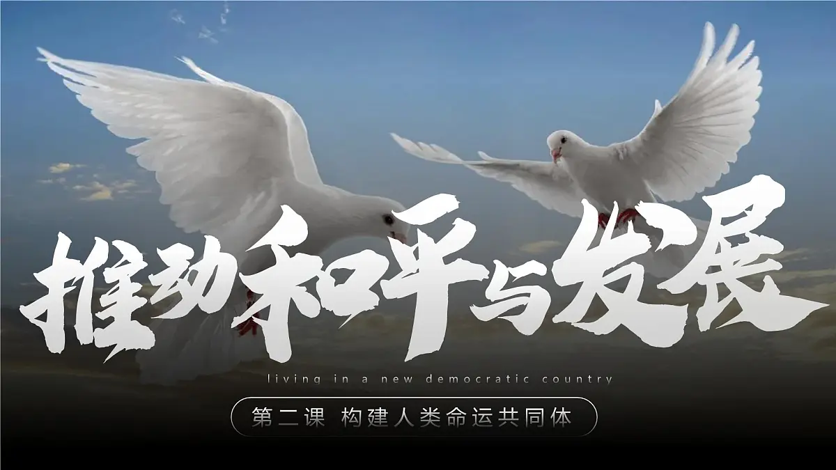 2.1推动和平与发展第3页