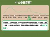 1.1青春的邀約   課件-2024-2025學(xué)年統(tǒng)編版道德與法治七年級(jí)下冊(cè)