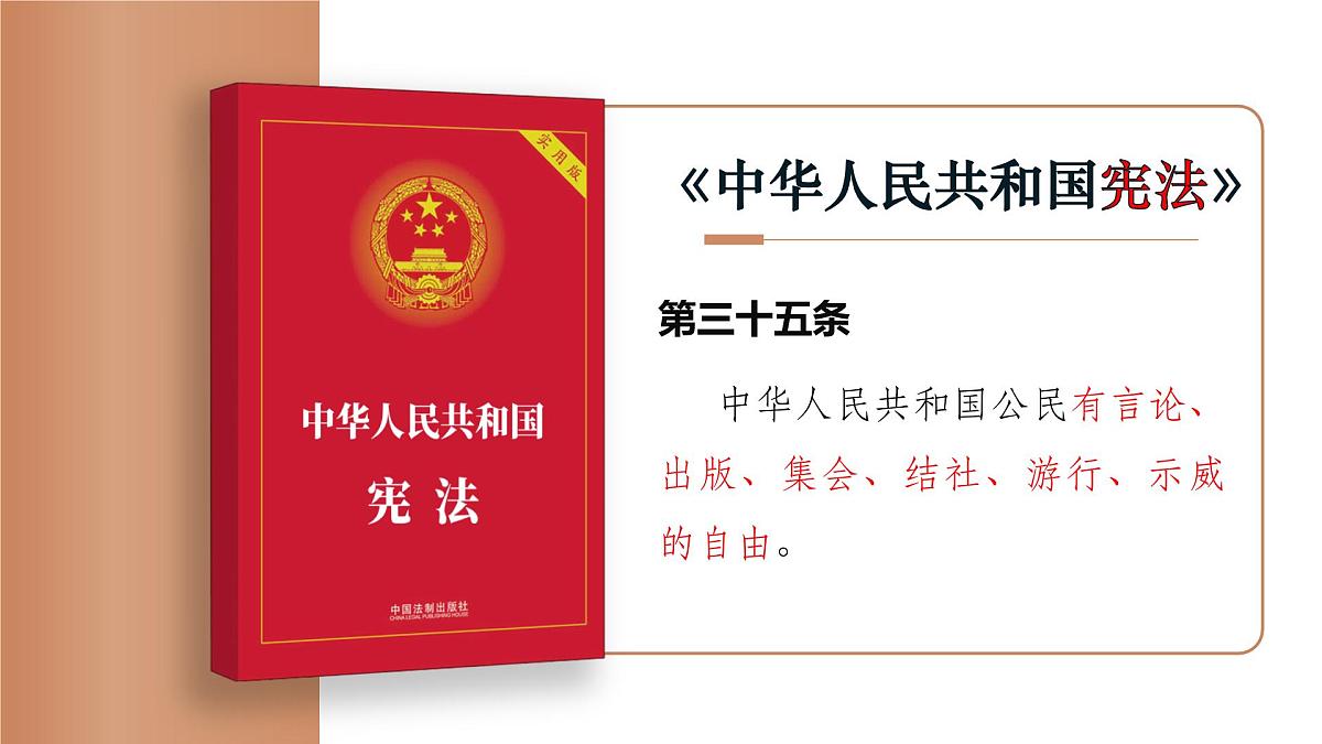 3.2依法行使权利  课 件 2024-2025学年统编版道德与法治八年级下册课件PPT第6页