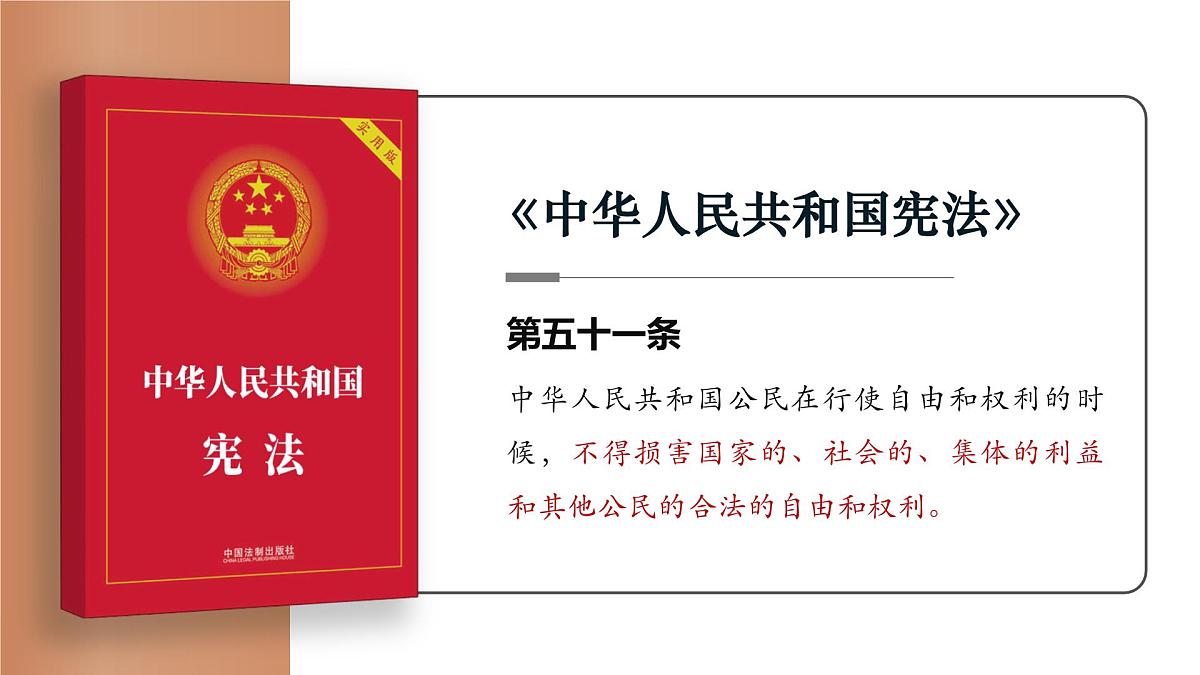 3.2依法行使权利  课 件 2024-2025学年统编版道德与法治八年级下册课件PPT第8页