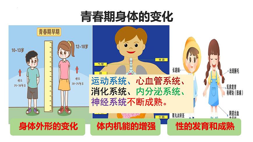 1.1 青春的邀约 课件 -2024-2025学年统编版道德与法治七年级下册第8页