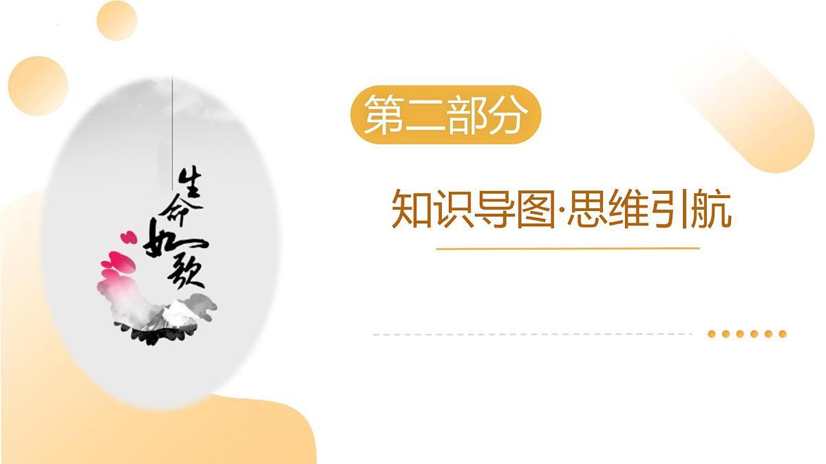 专题二：生命教育-（课件）2025年中考道德与法治二轮复习讲练测（山东专用）第6页