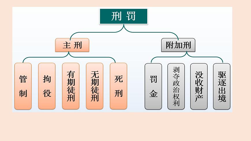 11.2 犯罪与刑罚 课件-2024-2025学年统编版道德与法治七年级下册第5页