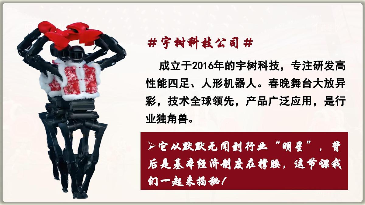 5.3 基本经济制度 课件 -2024-2025学年统编版道德与法治八年级下册第2页