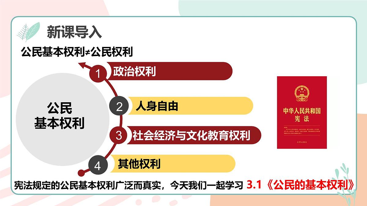 3.1公民基本权利 课 件 2024-2025学年统编版道德与法治八年级下册课件PPT第4页
